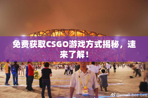 免费获取CSGO游戏方式揭秘，速来了解！