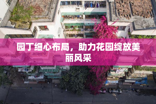 园丁细心布局，助力花园绽放美丽风采
