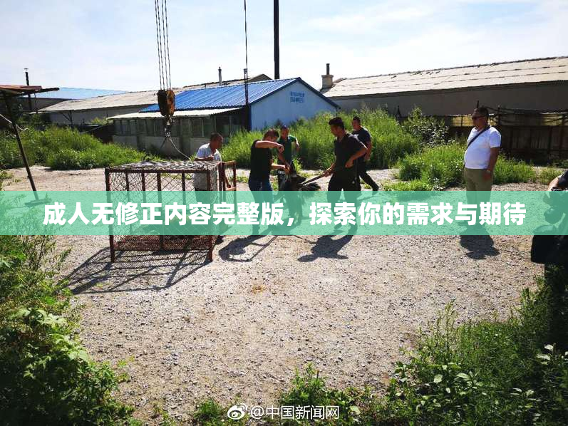 成人无修正内容完整版，探索你的需求与期待