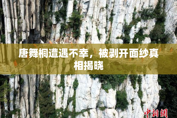 唐舞桐遭遇不幸，被剥开面纱真相揭晓
