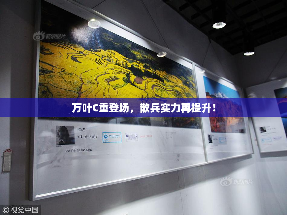 万叶C重登场，散兵实力再提升！