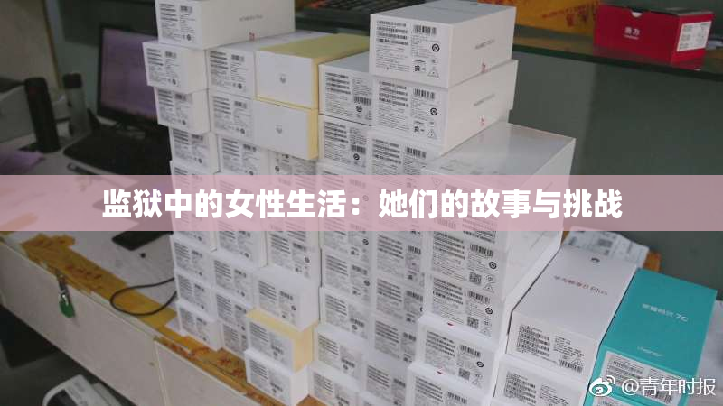 监狱中的女性生活：她们的故事与挑战