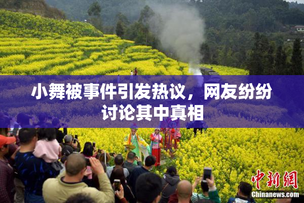 小舞被事件引发热议，网友纷纷讨论其中真相