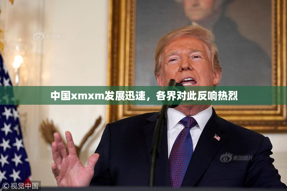 中国xmxm发展迅速，各界对此反响热烈