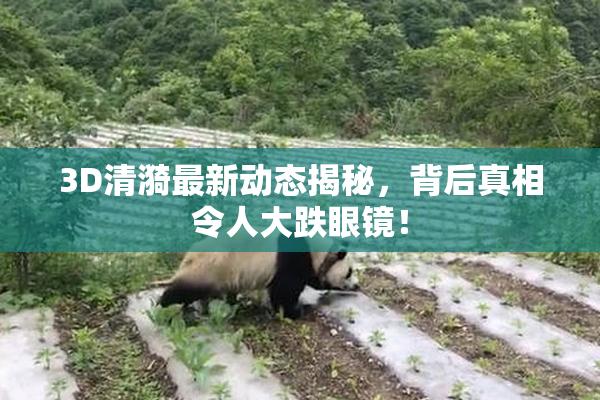 3D清漪最新动态揭秘，背后真相令人大跌眼镜！
