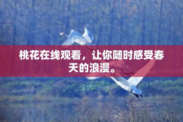 桃花在线观看，让你随时感受春天的浪漫。