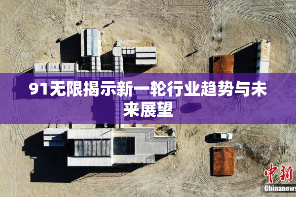91无限揭示新一轮行业趋势与未来展望