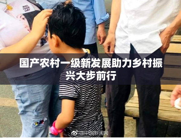 国产农村一级新发展助力乡村振兴大步前行