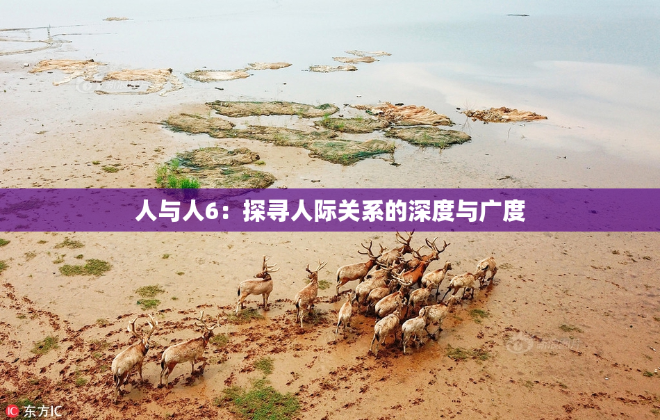 人与人6：探寻人际关系的深度与广度