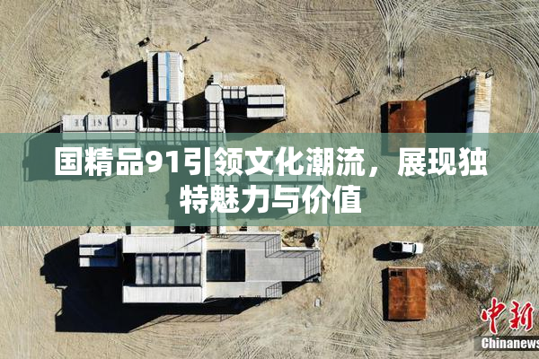 国精品91引领文化潮流，展现独特魅力与价值