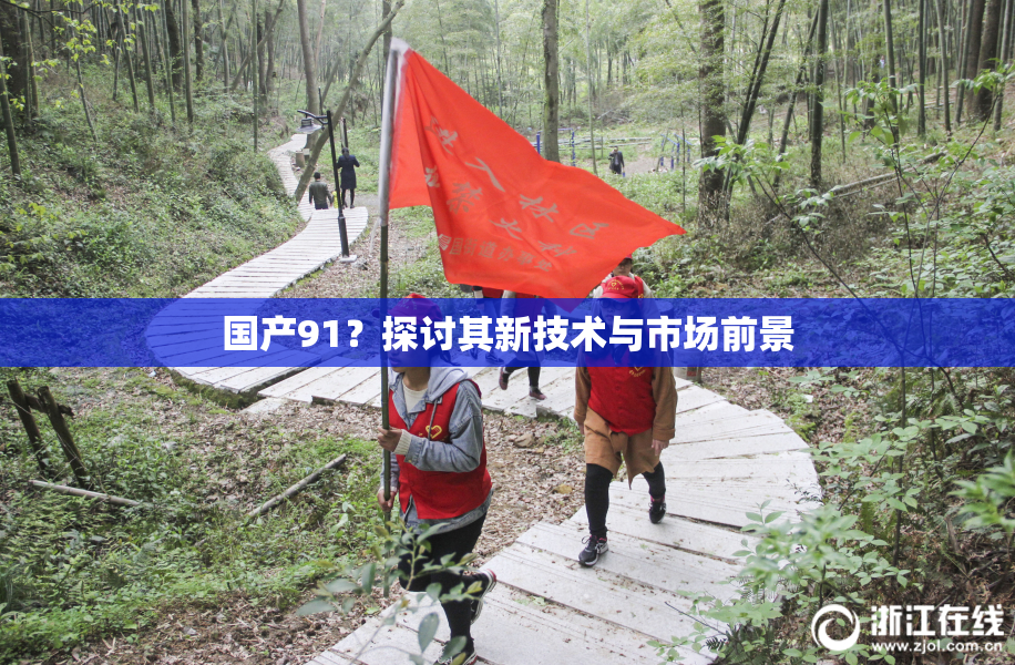 国产91？探讨其新技术与市场前景
