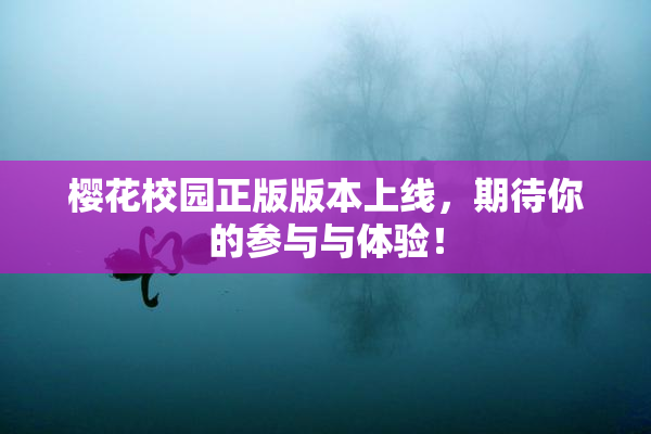 樱花校园正版版本上线，期待你的参与与体验！