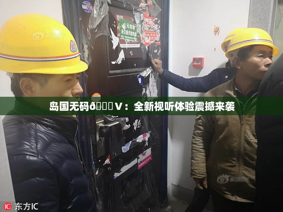 岛国无码🈚Ⅴ：全新视听体验震撼来袭