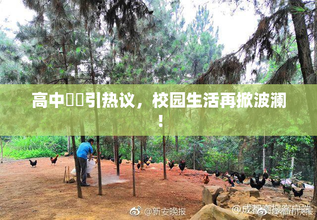 高中妺妺引热议，校园生活再掀波澜！