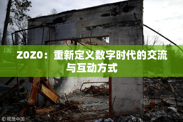 Z0Z0：重新定义数字时代的交流与互动方式