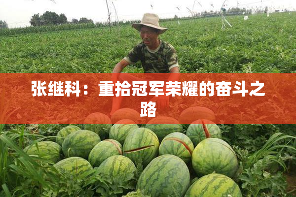 张继科：重拾冠军荣耀的奋斗之路