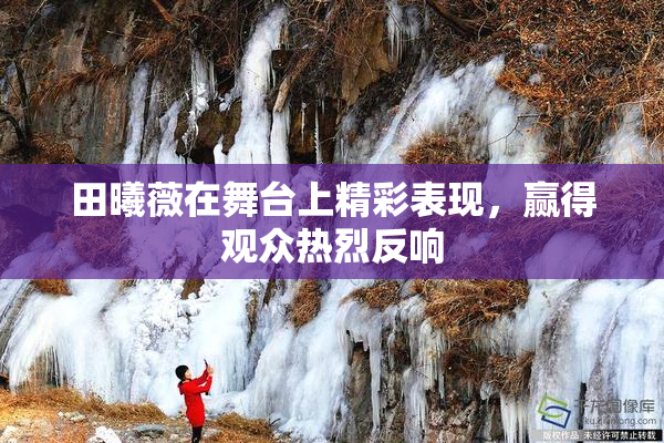 田曦薇在舞台上精彩表现，赢得观众热烈反响