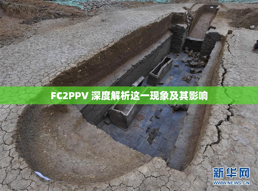FC2PPV 深度解析这一现象及其影响