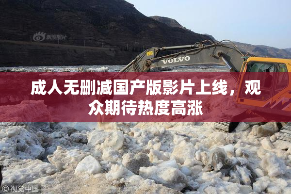 成人无删减国产版影片上线，观众期待热度高涨