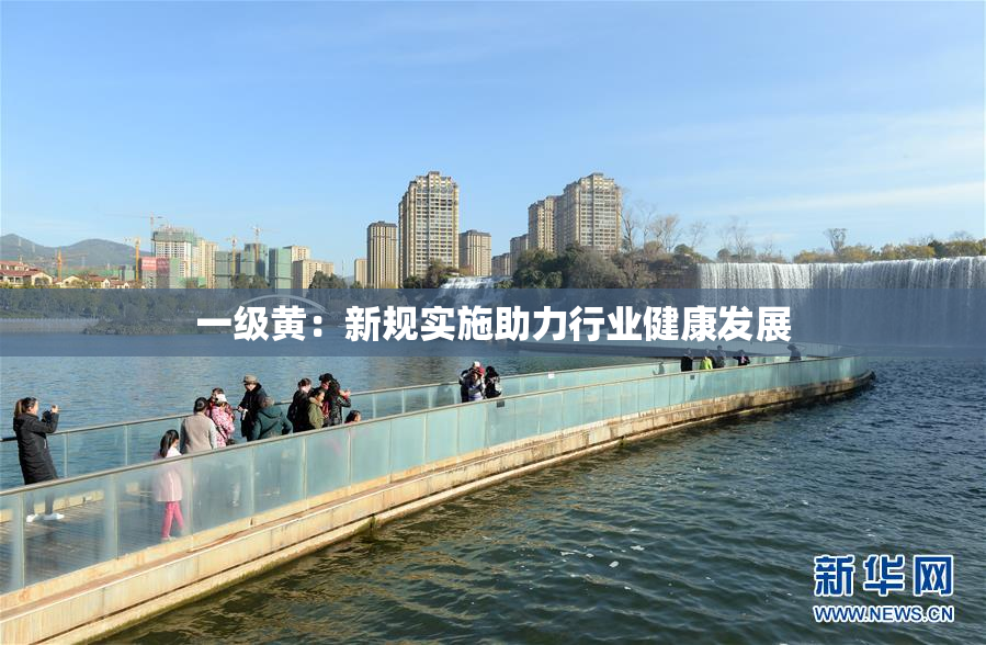 一级黄：新规实施助力行业健康发展