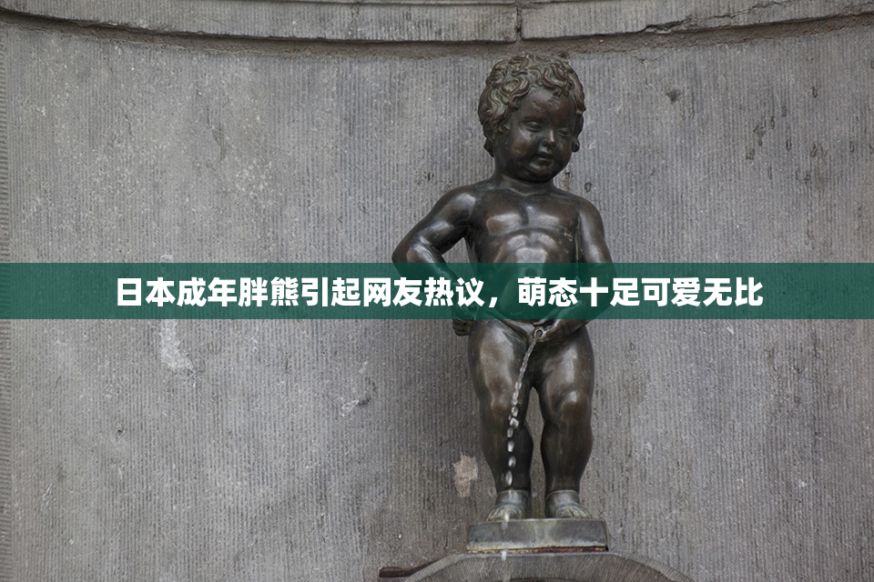 日本成年胖熊引起网友热议，萌态十足可爱无比