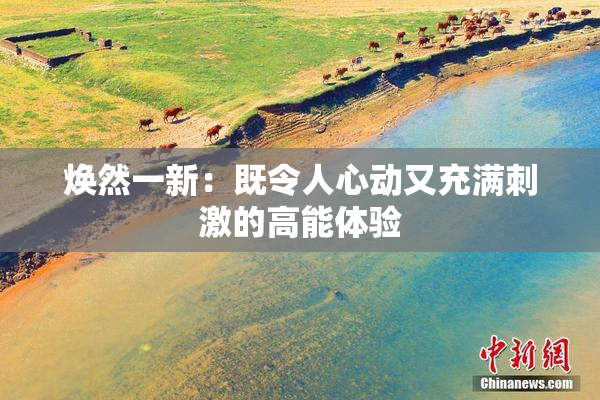 焕然一新：既令人心动又充满刺激的高能体验
