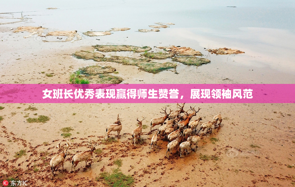 女班长优秀表现赢得师生赞誉，展现领袖风范