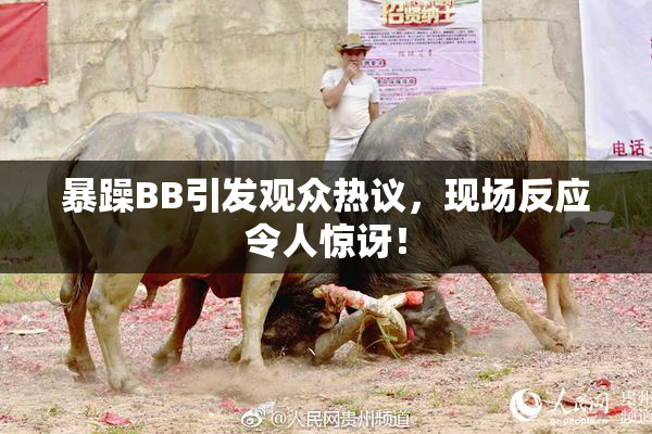 暴躁BB引发观众热议，现场反应令人惊讶！