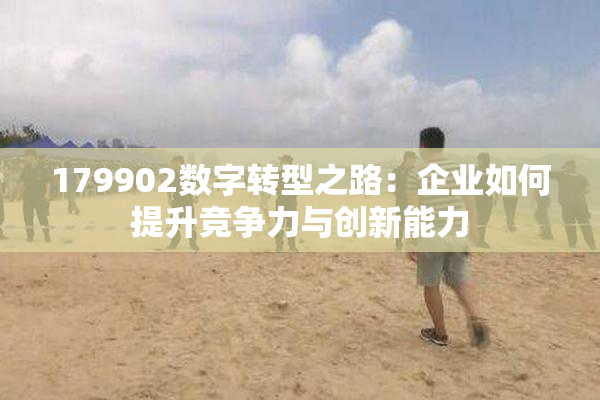 179902数字转型之路：企业如何提升竞争力与创新能力