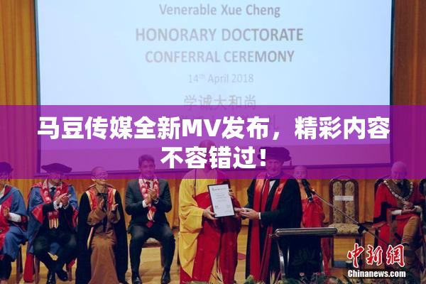 马豆传媒全新MV发布，精彩内容不容错过！