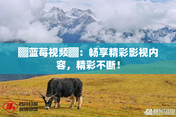 ▓蓝莓视频▓：畅享精彩影视内容，精彩不断！