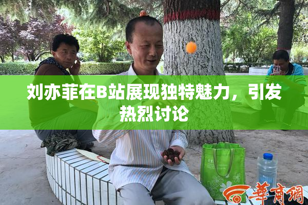 刘亦菲在B站展现独特魅力，引发热烈讨论