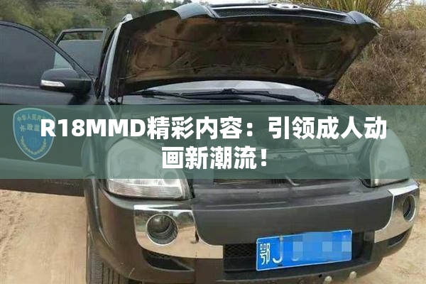 R18MMD精彩内容：引领成人动画新潮流！
