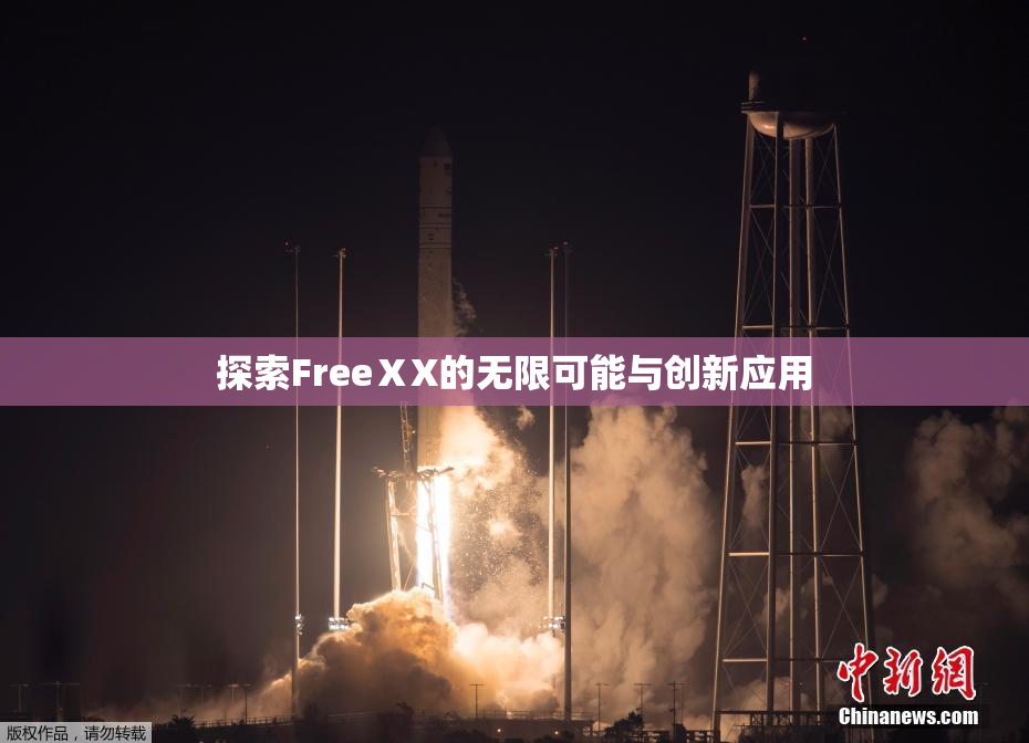 探索FreeⅩX的无限可能与创新应用