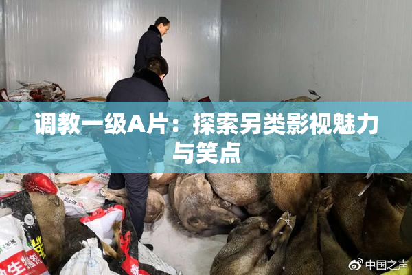 调教一级A片：探索另类影视魅力与笑点