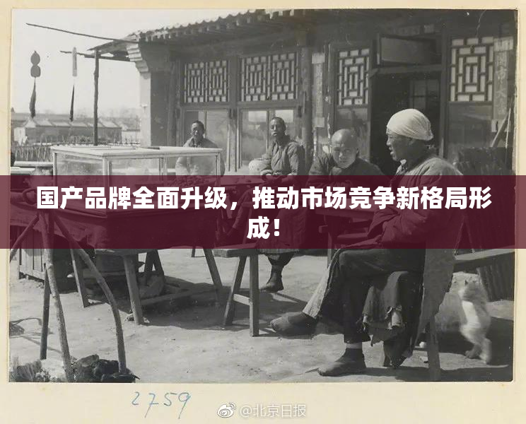 国产品牌全面升级，推动市场竞争新格局形成！