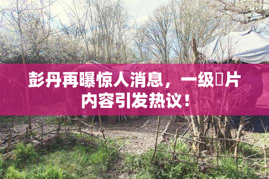 彭丹再曝惊人消息，一级婬片内容引发热议！