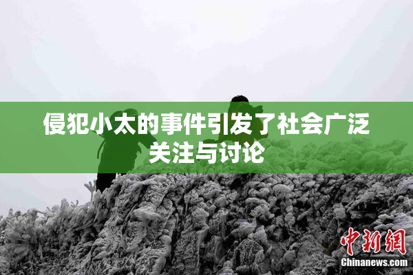 侵犯小太的事件引发了社会广泛关注与讨论