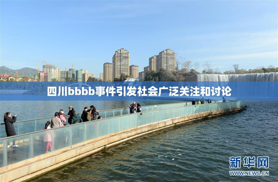 四川bbbb事件引发社会广泛关注和讨论