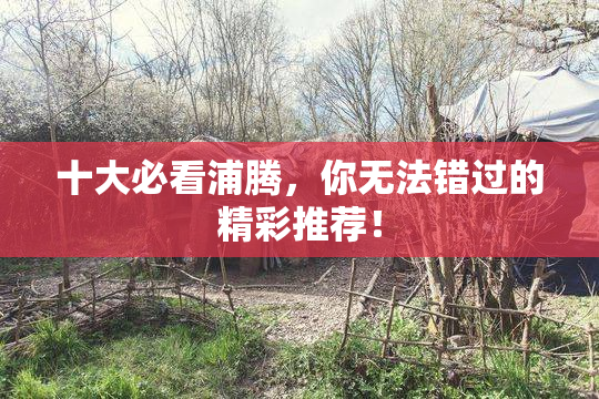 十大必看浦腾，你无法错过的精彩推荐！