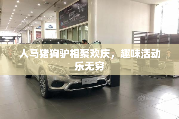 人马猪狗驴相聚欢庆，趣味活动乐无穷
