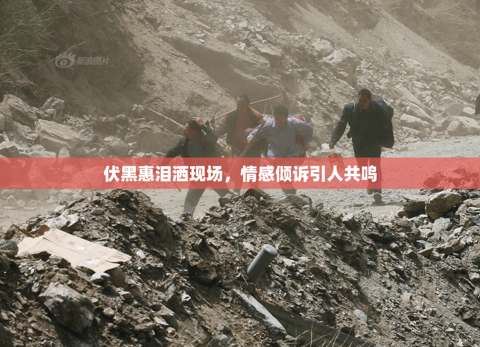 伏黑惠泪洒现场，情感倾诉引人共鸣