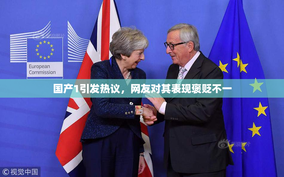 国产1引发热议，网友对其表现褒贬不一