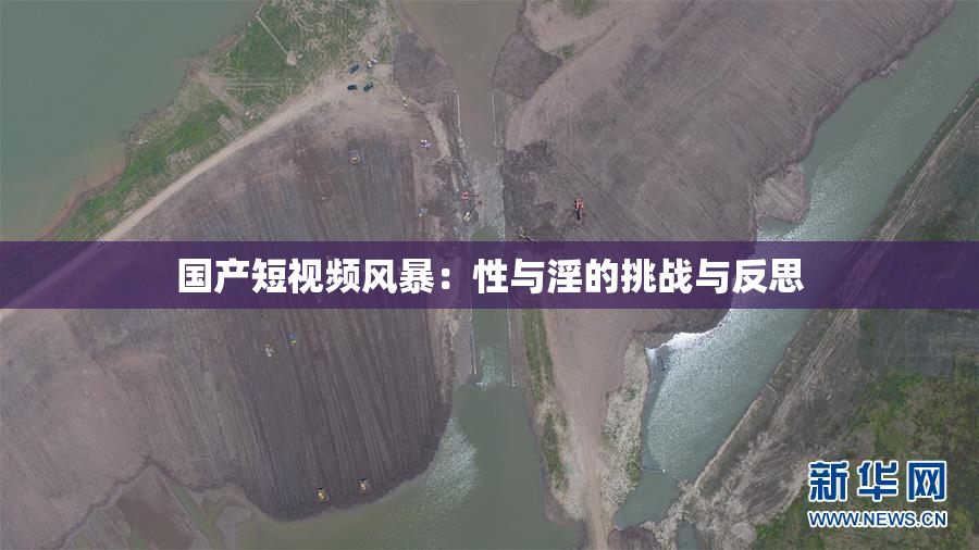 国产短视频风暴：性与淫的挑战与反思