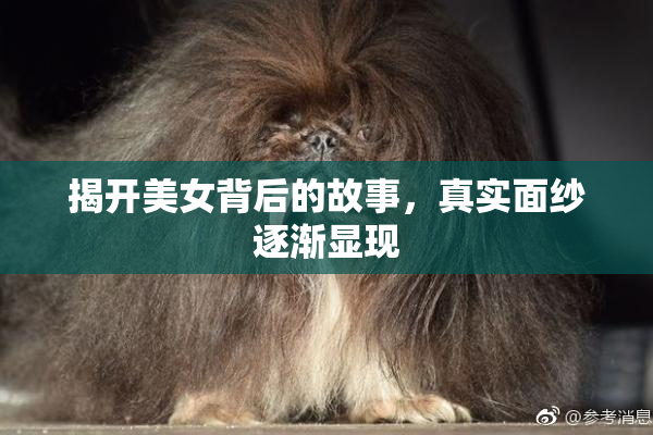 揭开美女背后的故事，真实面纱逐渐显现