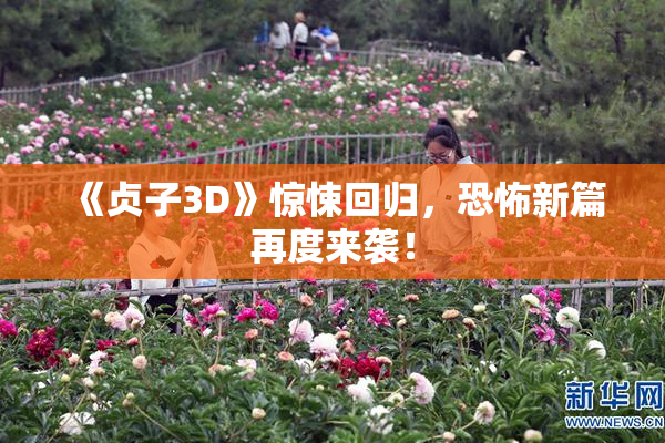 《贞子3D》惊悚回归，恐怖新篇再度来袭！