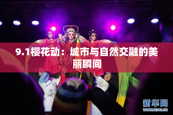 9.1樱花动：城市与自然交融的美丽瞬间