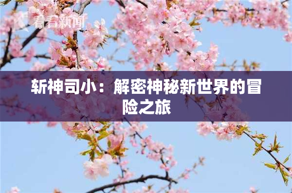 斩神司小：解密神秘新世界的冒险之旅