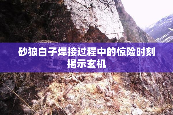 砂狼白子焊接过程中的惊险时刻揭示玄机