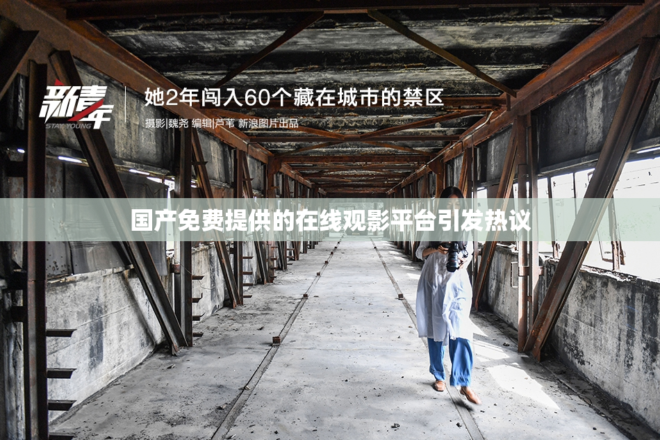 国产免费提供的在线观影平台引发热议